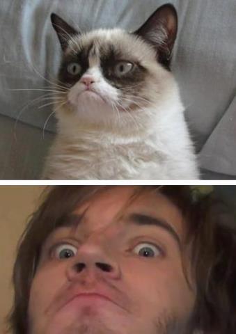 Pewdie and cat