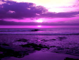 In Purple