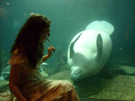 me and a manatee