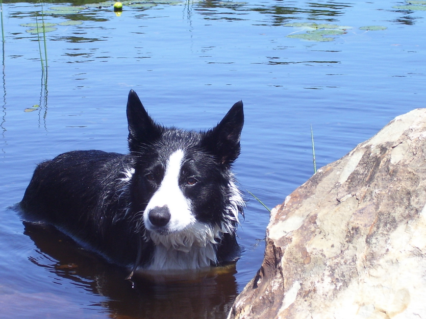 Spirit cooling off