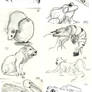 Animal Doodles Sketchdump 1