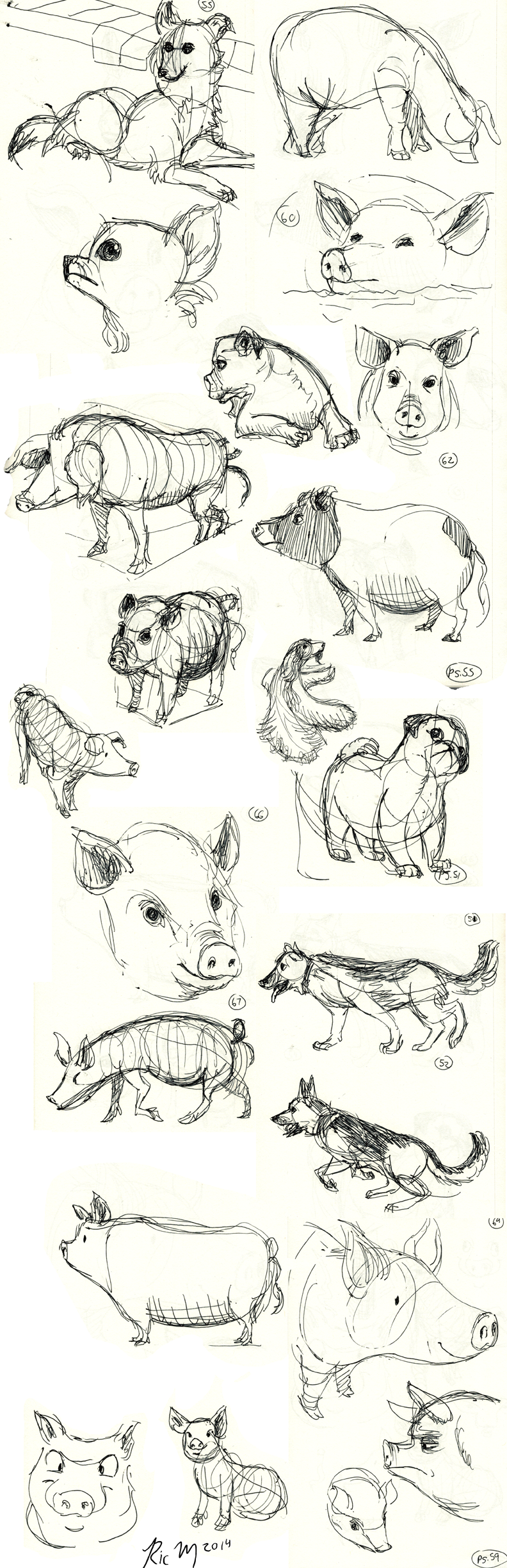 Animal Doodles Sketchdump 3