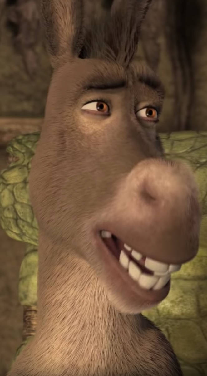 Donkey Rimi Donkey #7 by BrandonMerideth on DeviantArt