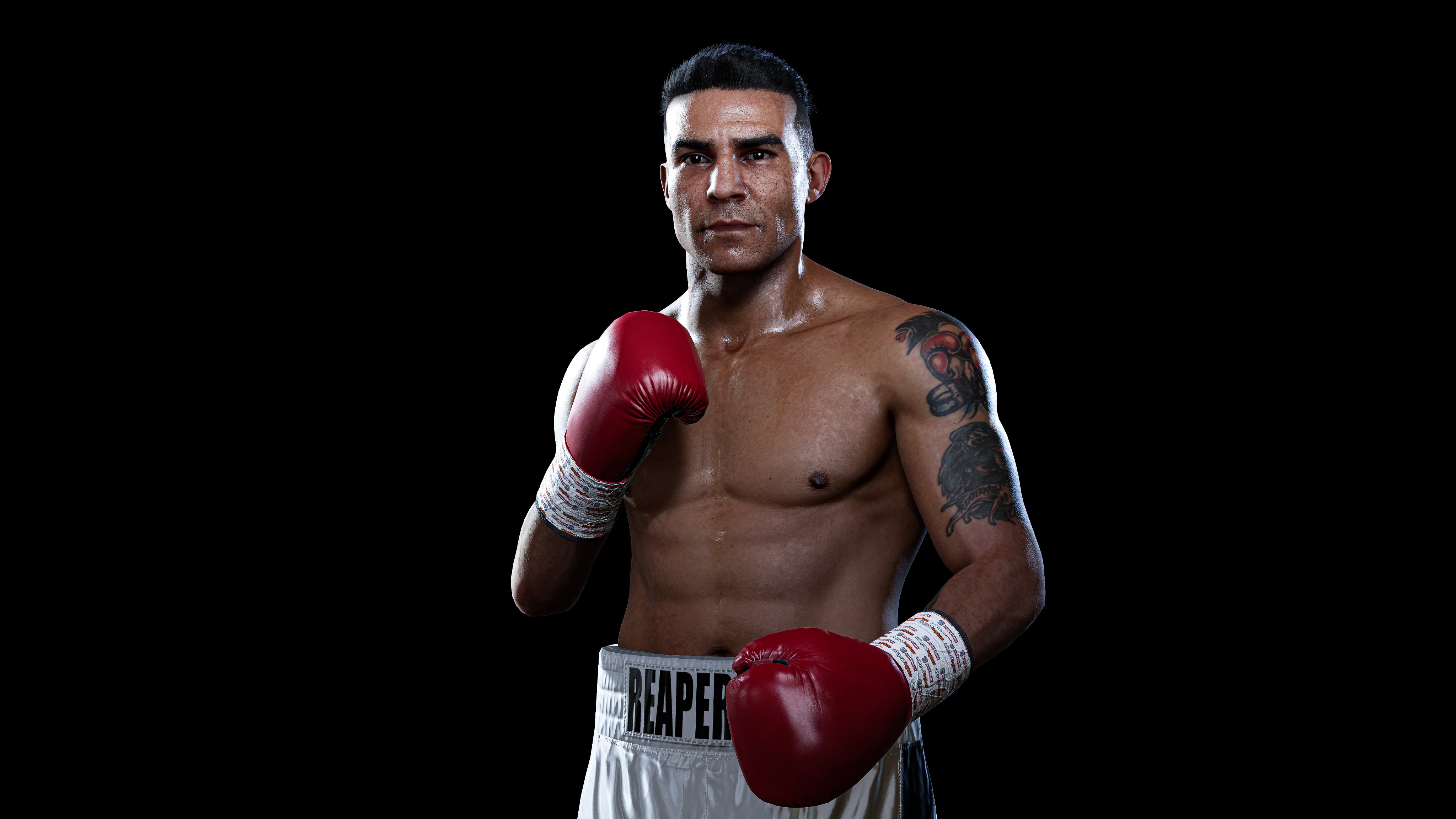 Robin Reid in Undisputed Boxing Game by BrandonMerideth on DeviantArt