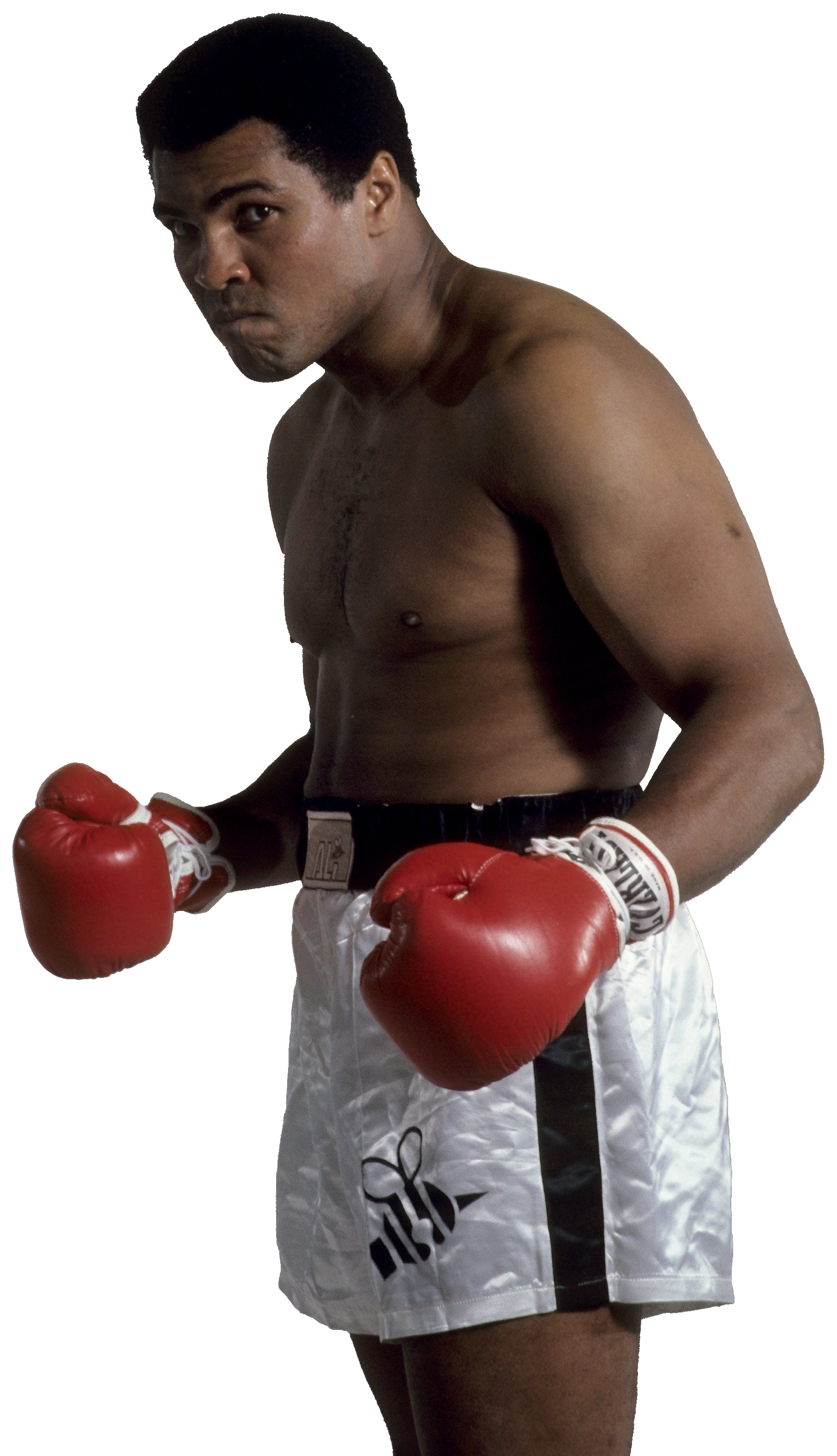 Ali 14 Muhammad Ali Transparent #14 by BrandonMerideth on DeviantArt
