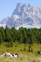 Dolomiti, Italy, sunbathing