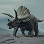 Jurrasicjuneranger triceratops request