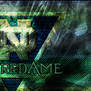 Notre Dame banner