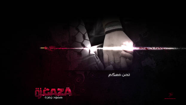 Gaza Package 04