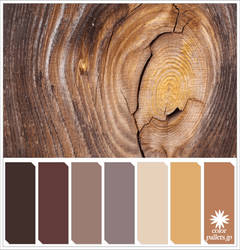 Grain of the wood Colorpallet