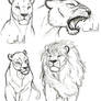 Leones