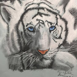 White Tiger, Realism