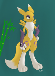 Renamon 1.5