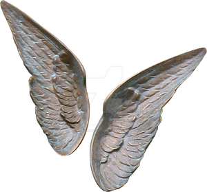 Angel wings by RavienneArt Angel wings by RavienneArt