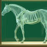 Transparent Green Glass Horse 001