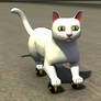 Kitty Cats on Wheels 001