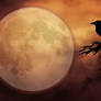 A Crow N' Full Moon 001