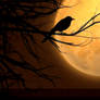 A Crow N' Full Moon 002