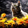 Cat Stalks Bugs Among the Flowers 009