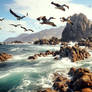 Pelicans Fly over a Rocky Shore 013