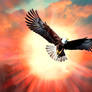 Eagle and the Sun 003