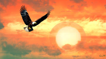 Eagle and the Sun 011