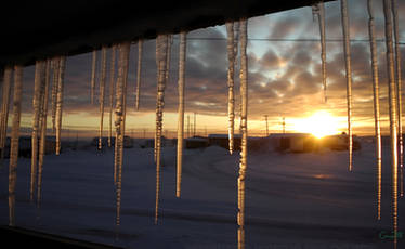 January Icicles 006