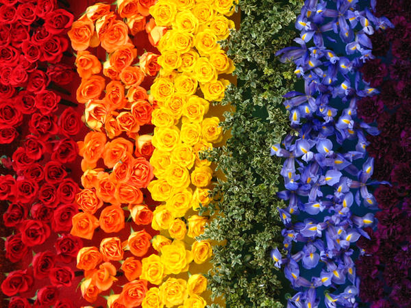 RAINBOW
