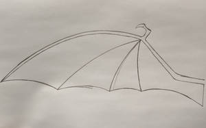 Wing Reference