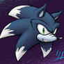 Sonic the Werehog Headshot