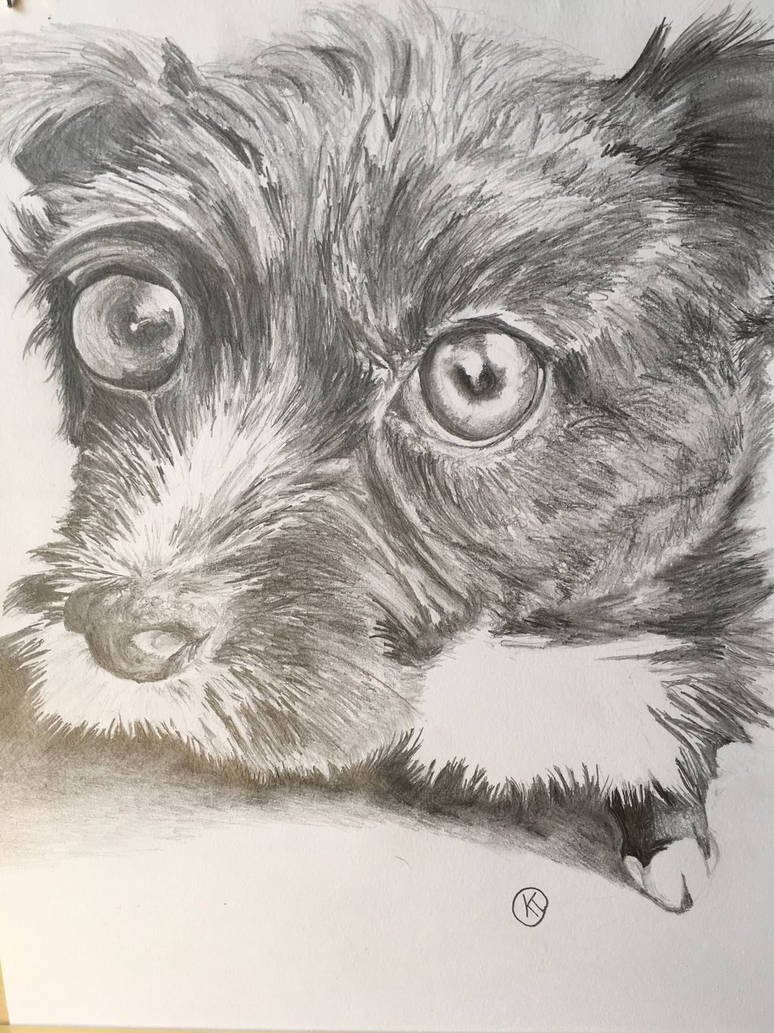 Rocket Portrait by KTnoperry on DeviantArt