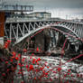 Reversing Falls Bridge 1