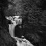 Silver Falls Black and White