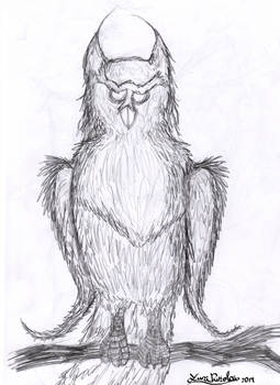 Fantasy Owl Sketch