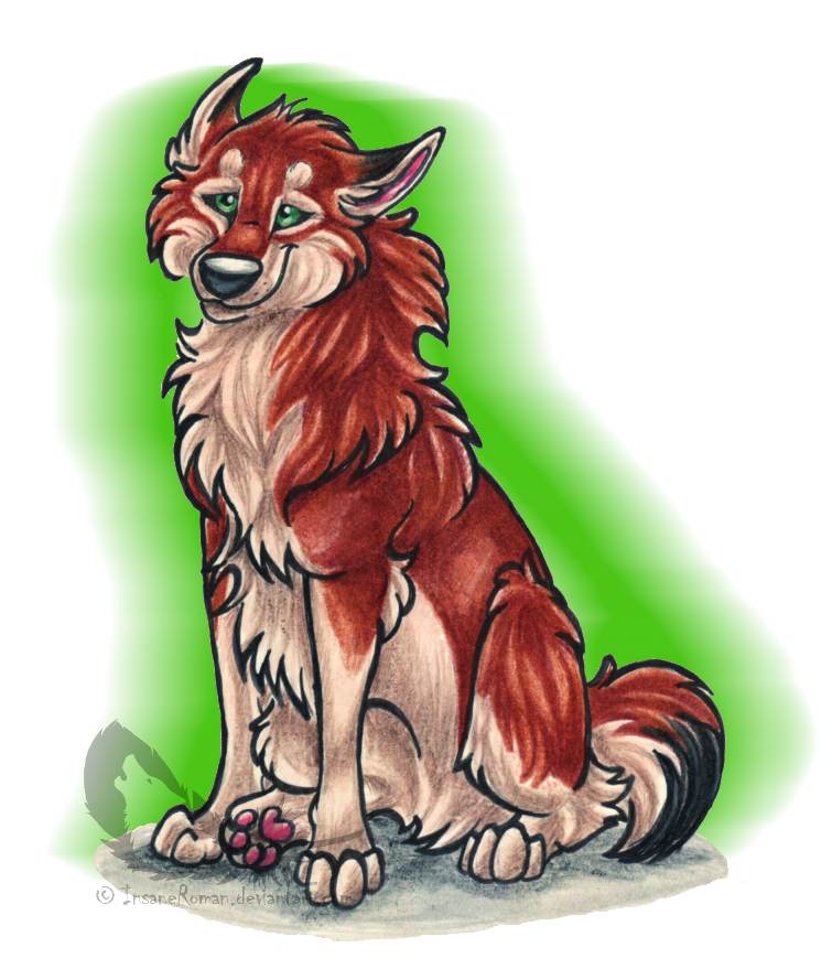 Shinta Transparent Thingy