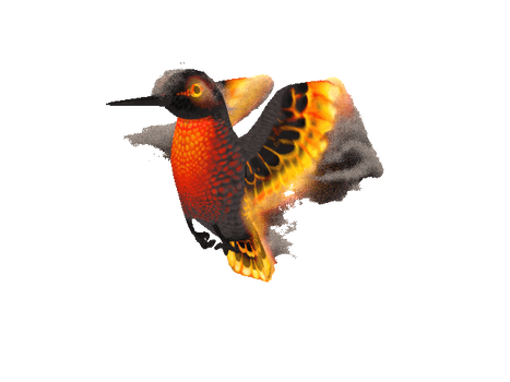 Humming firebird