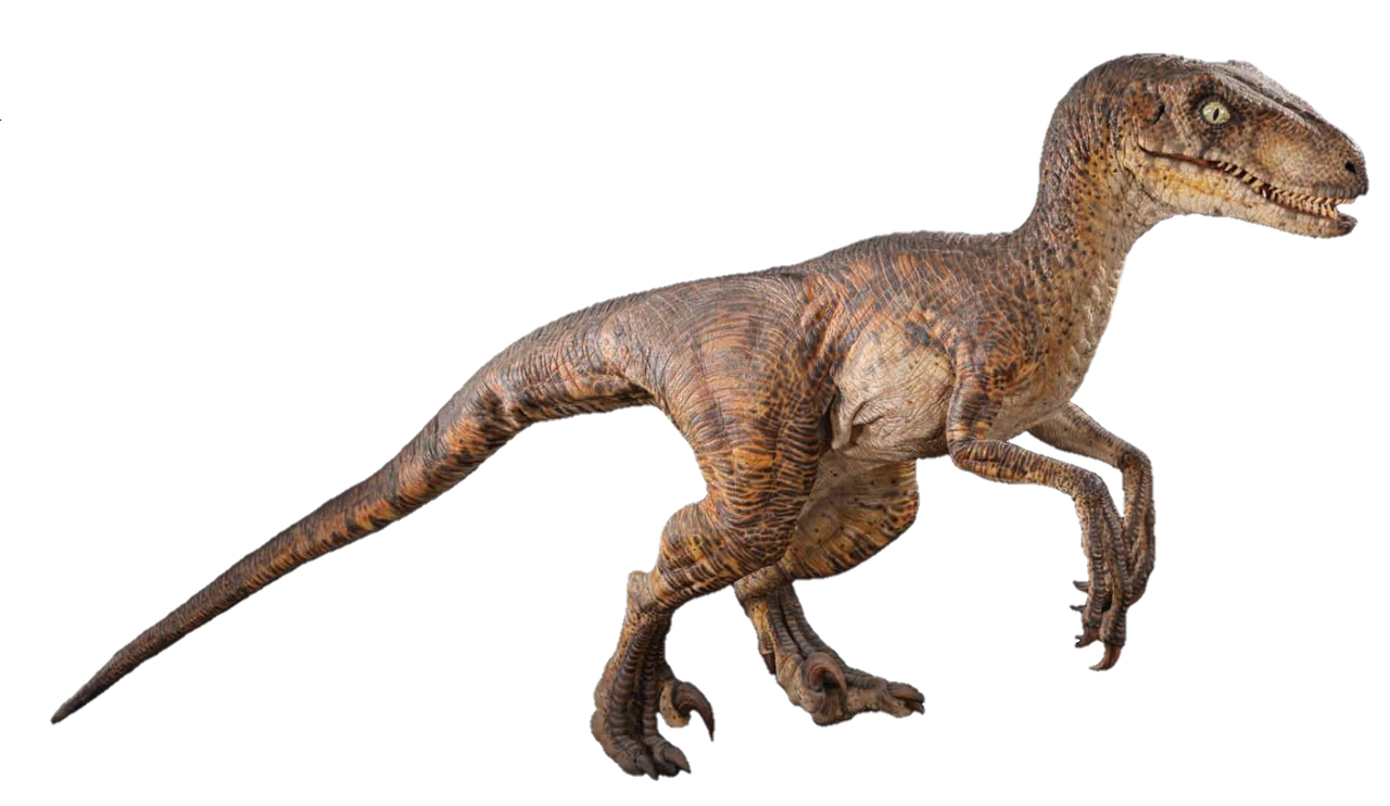 JP Velociraptor render 2 by chrisufray on DeviantArt