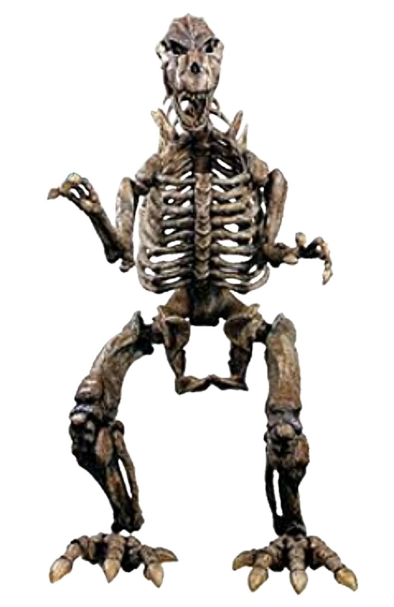 Godzilla 1954 Skeleton render 2 by chrisufray on DeviantArt