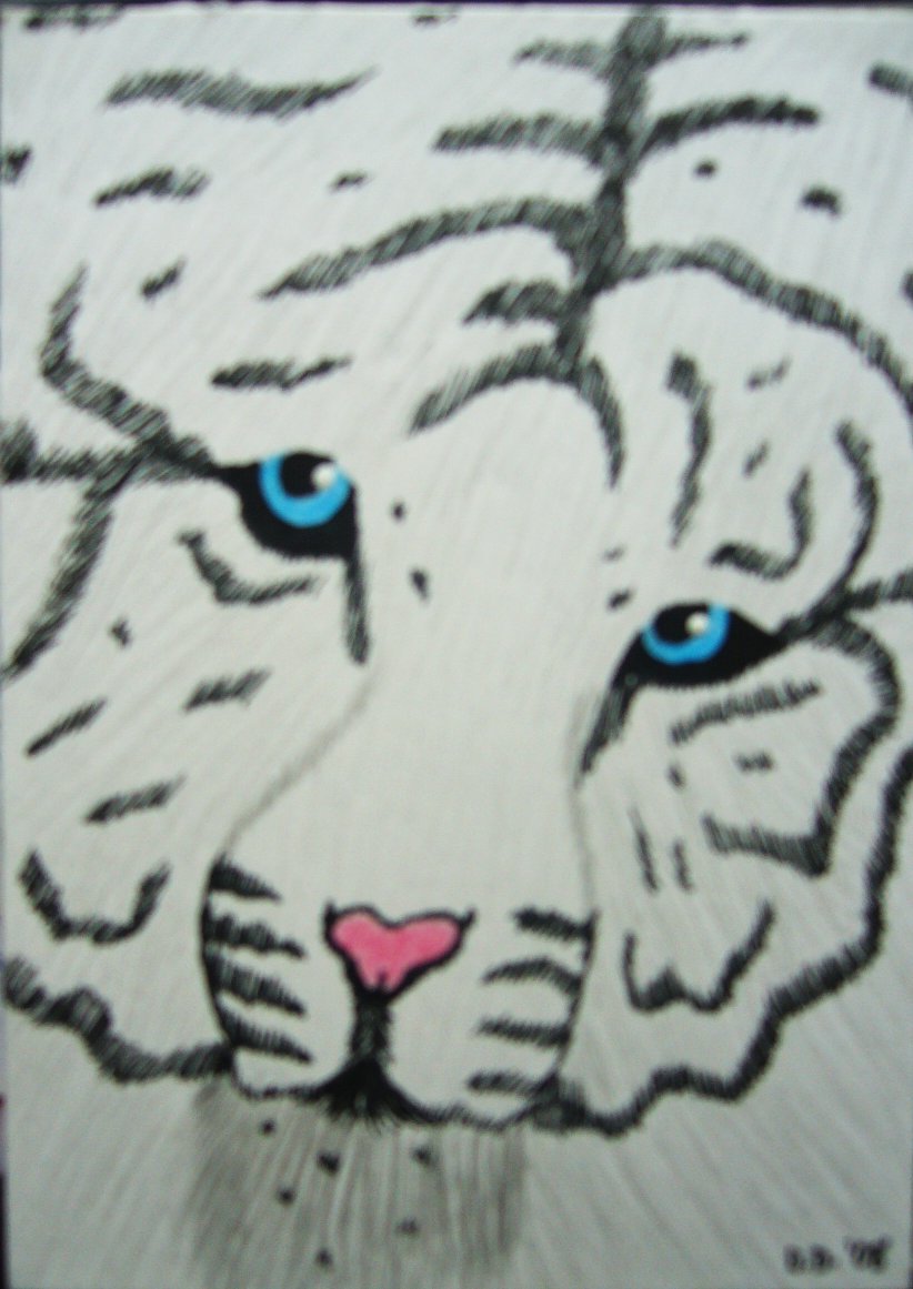 White Tiger