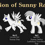 Evolution of Sunny Ray