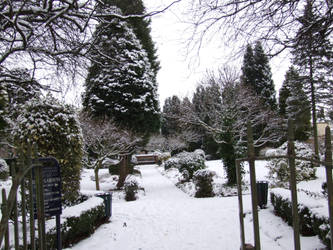 Park in the Snow