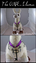The one Llama... with necklace