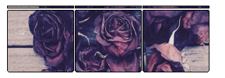 Dead flowers FTU