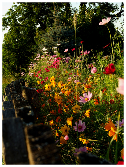 Fence