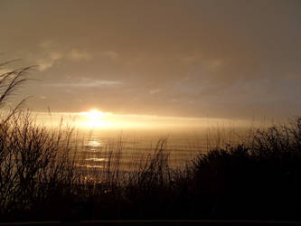 Oregon Coast