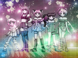 Tokyo mew mew wallpaper