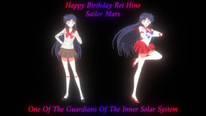 Happy Birthday Rei Hino Sailor Mars (2024)