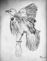 Bird (ballpoint pen)