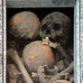 Box of Skulls and Bones