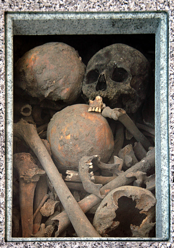 Box of Skulls and Bones